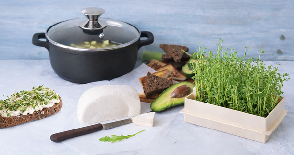 DO NOVÉHO ROKA ZDRAVŠIE