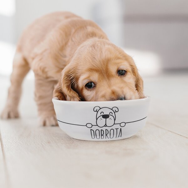 Miska pre psov MILÁČIKOVIA pr. 12 cm