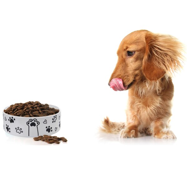 Miska pre psov MILÁČIKOVIA pr. 15 cm