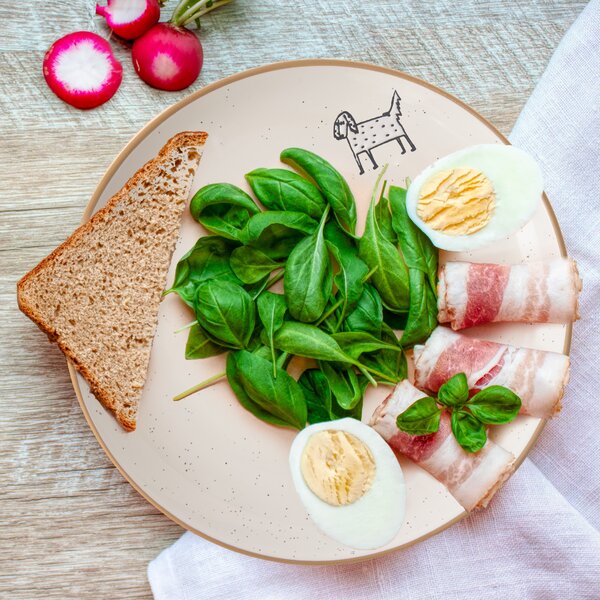 Dezertný tanier STATOK pes pr. 19,5 cm