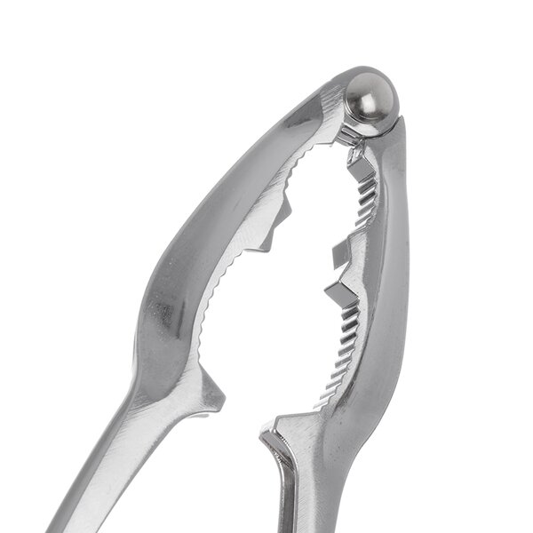 Luskáčik na orechy