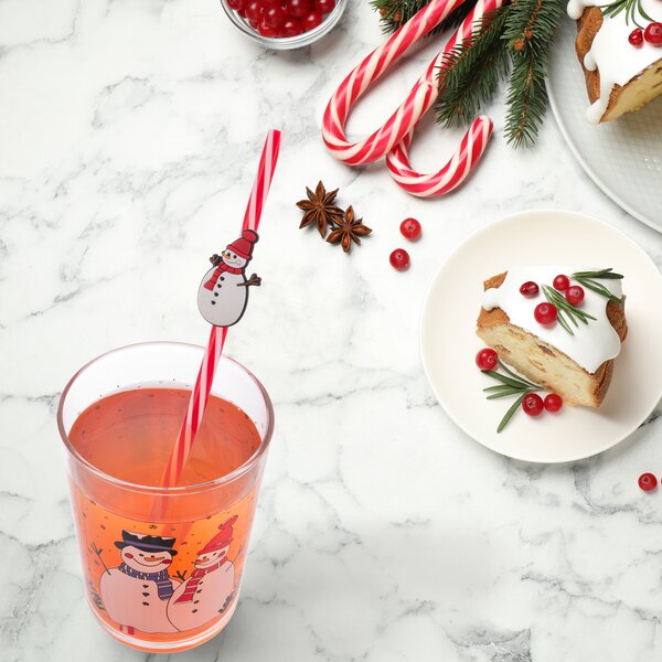 Nápojová slamka opakované použitie SNEHULIAK 6 ks