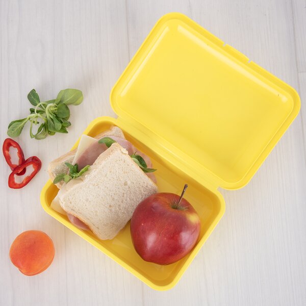 Box na desiatu zajac