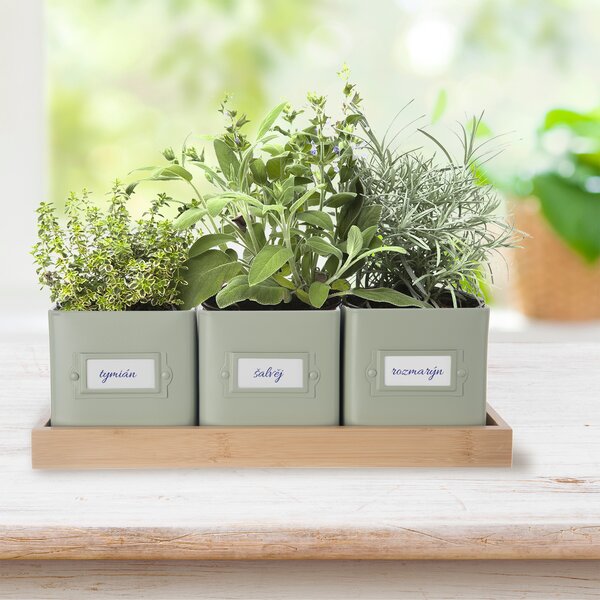 Kvetináč bylinky GREENISH 11,5x11,5 cm 3 ks+podtácok