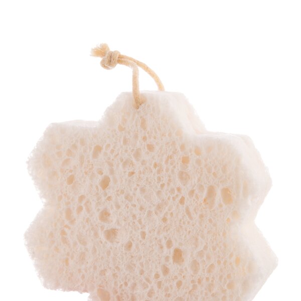 Huba na riad včela EKO