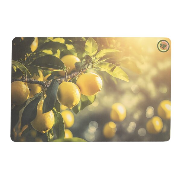 Prestieranie 43,5x28,5 cm ovocie