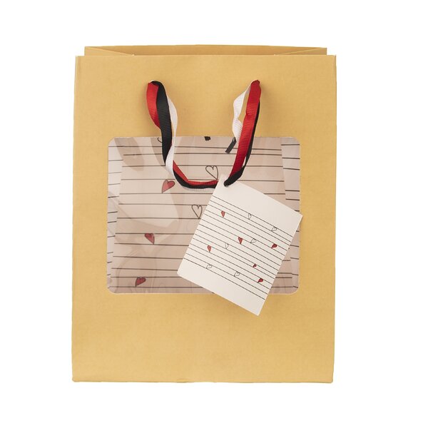 Darčeková taška SRDIEČKA 18x10x23 cm