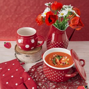 Hrniec BODKA s pokrievkou 2,3 l