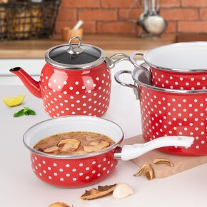 Rajnica BODKA Lem 1 l