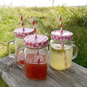 Pohár Straw s viečkom s slamkou 0,45 l