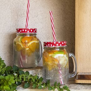 Pohár s viečkom a slamkou 0,45 l