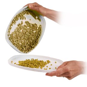 Naklíčovacia misa s vekom 29x21 cm