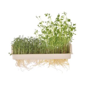 Nakličovacia misa s vekom 21x13,5 cm