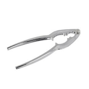 Luskáčik na orechy