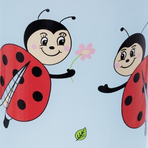 Nápojová fľaša LIENKA 0,5 l