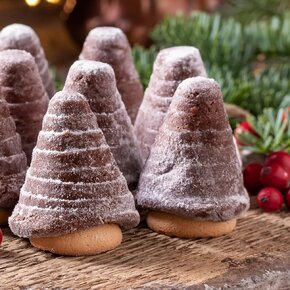 Formička včelí úlik 