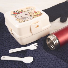 Box na desiatu delený