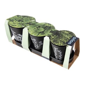 Kvetináč bylinky BLACK pr. 11 cm 3 ks+podtácka
