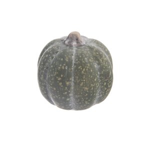 Dekoračná tekvica