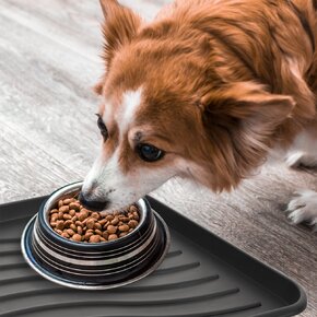 Vonkajšia rohož-odkvapkávač 50x38 cm