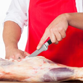 Kuchynský nôž vykosťovací MASTER 15,5 cm