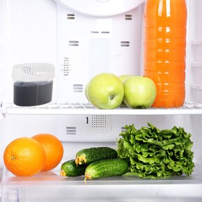 Pohlcovač pachu do chladničky Duo 120 g