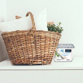 Pohlcovač vlhkosti 450 g